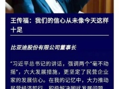 王傳福：比亞迪的信心從未像今天這樣十足