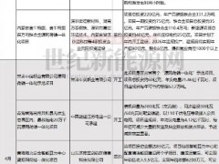 超20個“源網荷儲”一體化項目上半年開工、簽約、投產