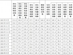 “十四五”以來非化石能源發電裝機規模累計增長了81.4%