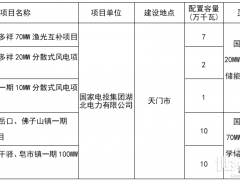 國家電投獨攬！湖北發(fā)布2024年第一批新能源發(fā)電項目名單