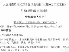 6208萬元！這家企業預中標河南100MW風電混塔訂單