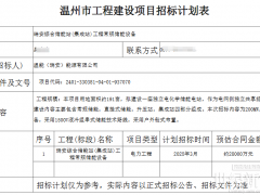 常規(guī)0.7元/Wh！直掛1.4元/Wh！浙江電網(wǎng)側(cè)獨(dú)立儲(chǔ)能電站招標(biāo)